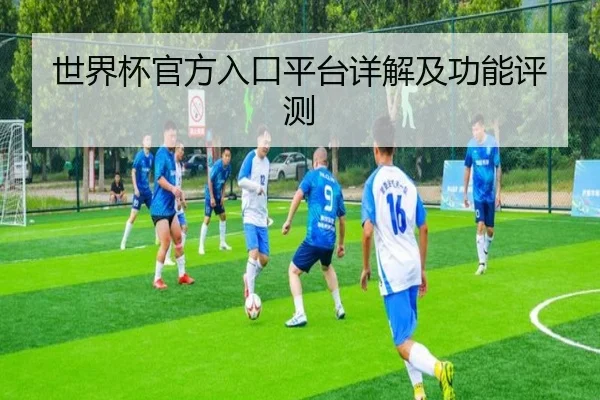 世界杯官方入口平台详解及功能评测
